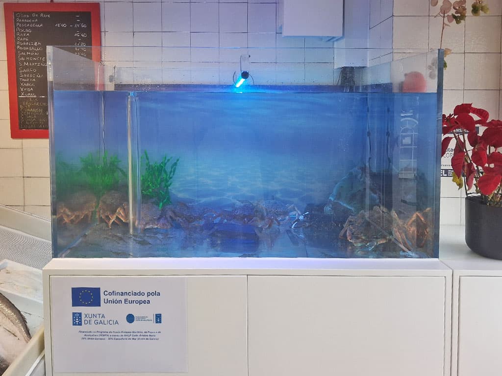 A Greta mariscos frescos